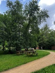 lavice_niva lavice_niva